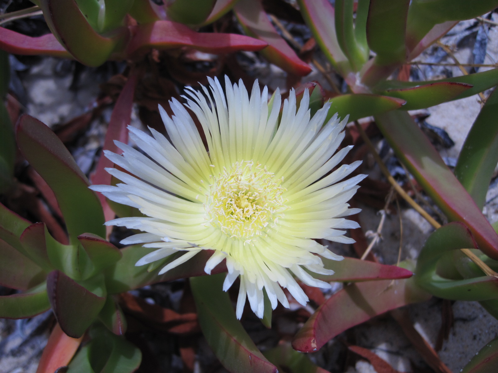 And you know this is my absolute favourite!