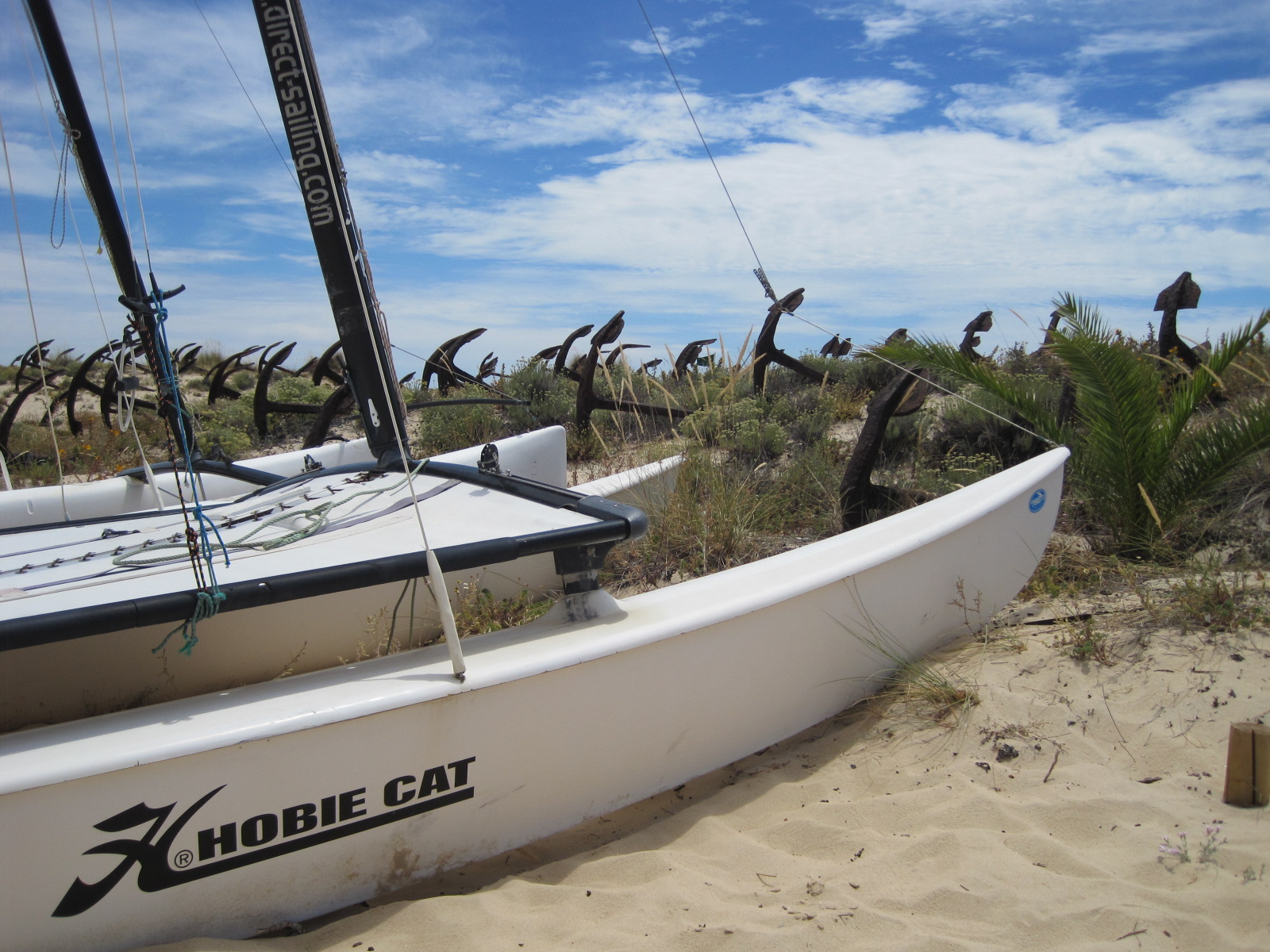 I liked the crisp catamaran beside the aged anchors