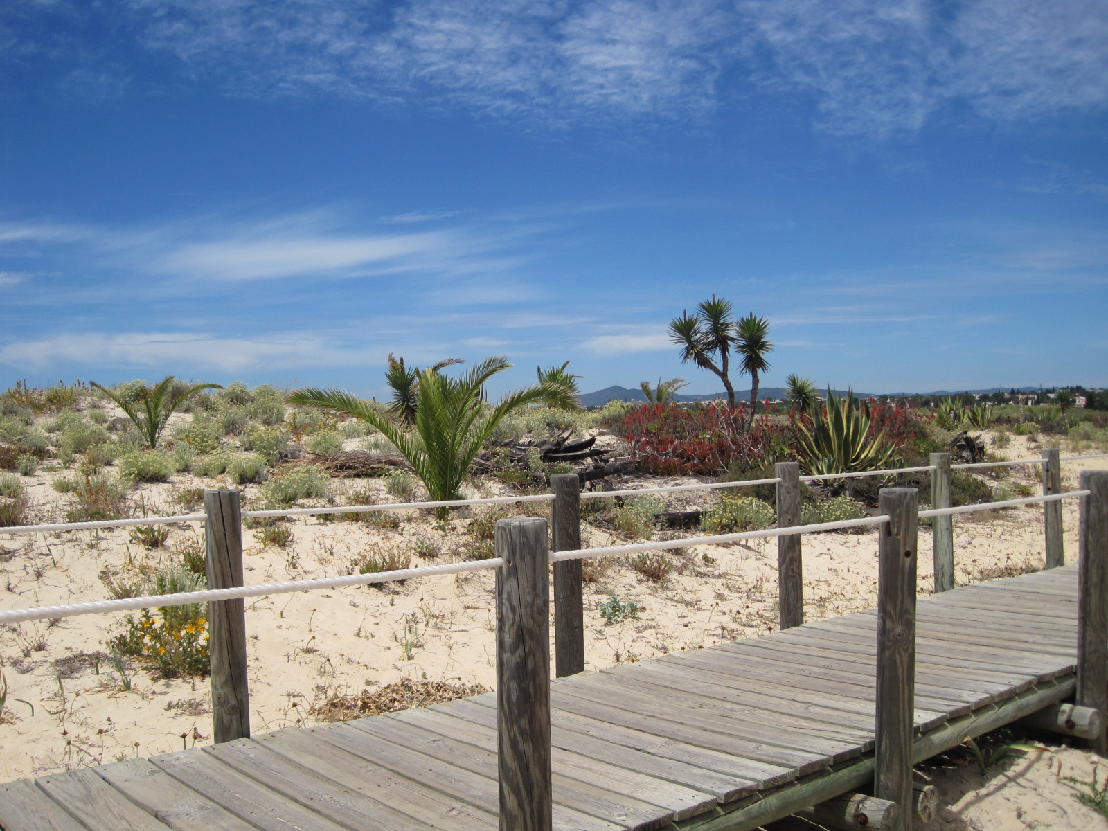 And you're onto the boardwalk at Barril beach