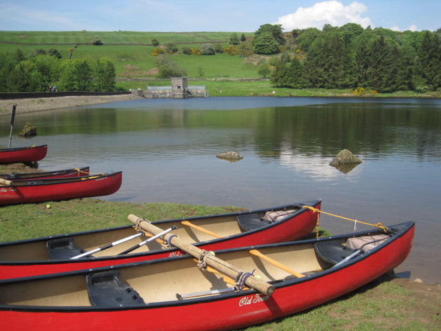 Today they have company- it's a school trip