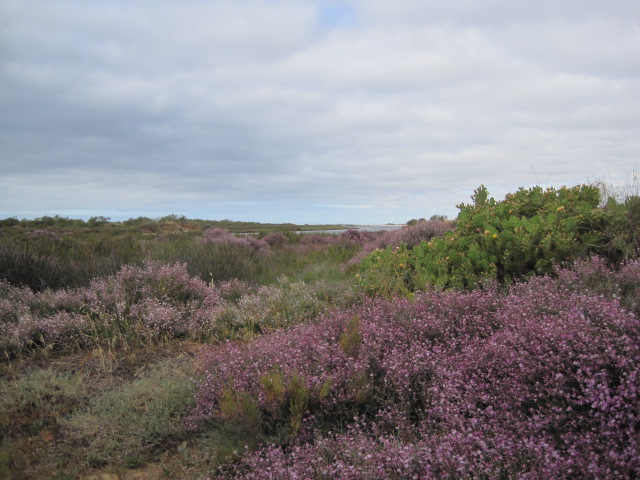 It was a little cloudy and cool when we set off