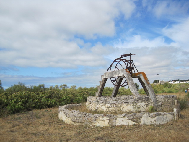 In an open stretch we came upon a well