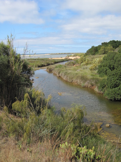 The clouds were beginning to break up as we skirted the stream