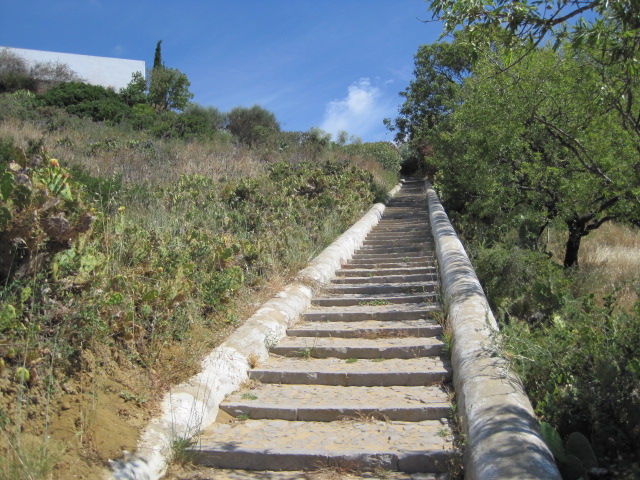 There are a LOT of steps, but down is ok!