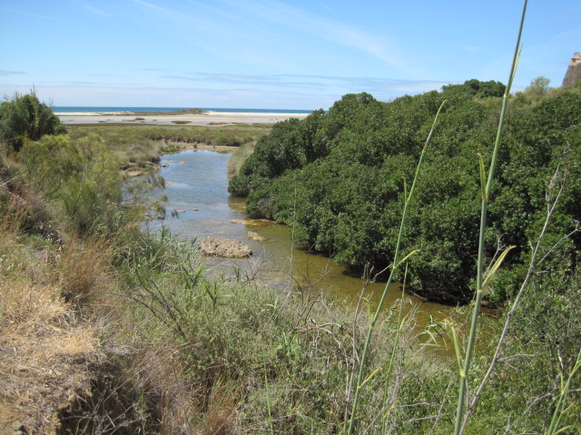 It looks innocent enough, doesn't it?