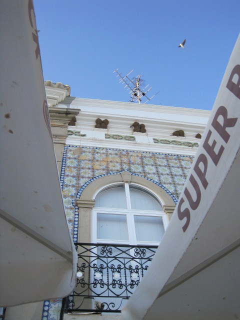 A good view of the swifts nests  
