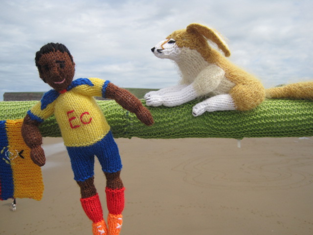 Ecuador has a lynx on guard duty 