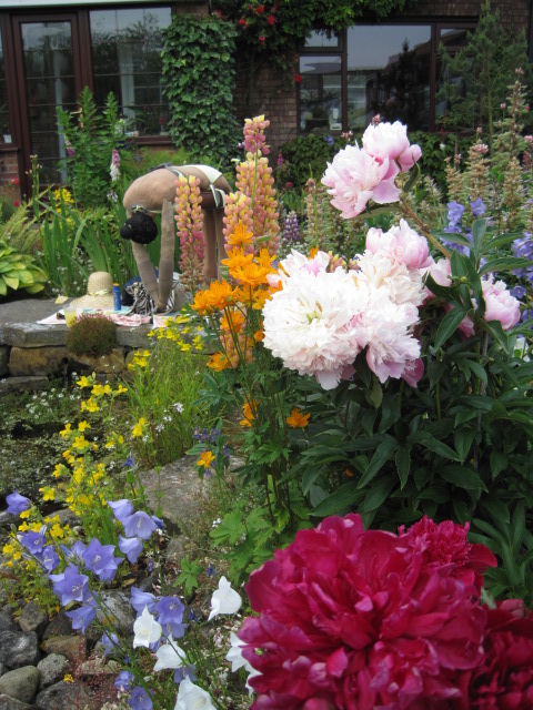 What a beautiful garden for a swim!
