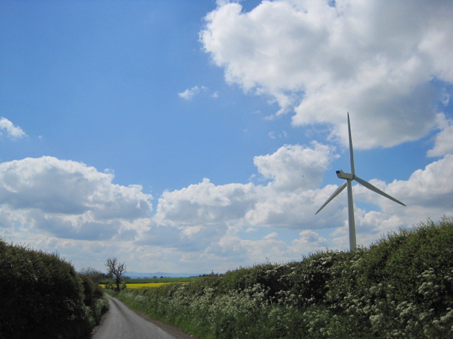 And down the lane, peering in the hedgerows