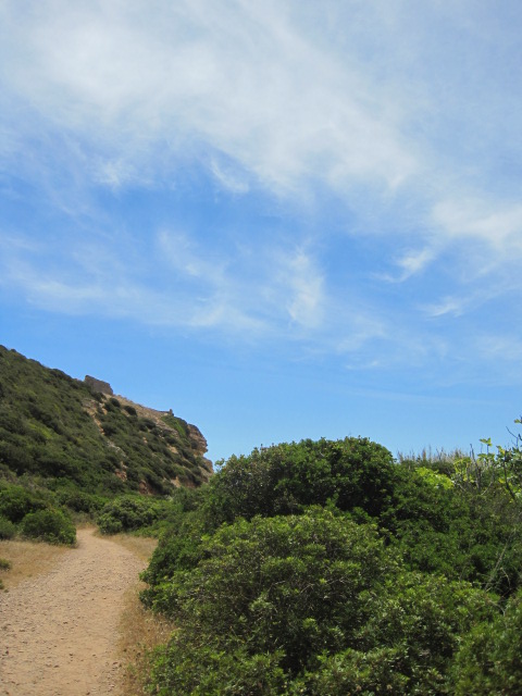 Will there be a beach bar? I don't think so!