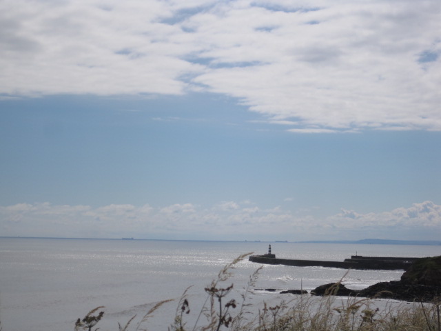 So the sea isn't at it's twinkly best