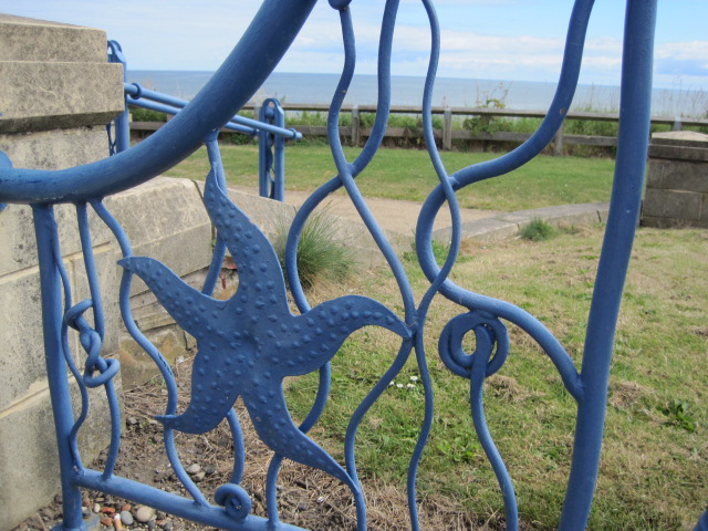 But it's still a place where the starfish like to play