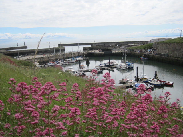 With a waft of flowers to cheer them up