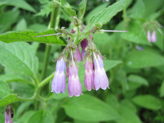 It comes in all shapes and sizes