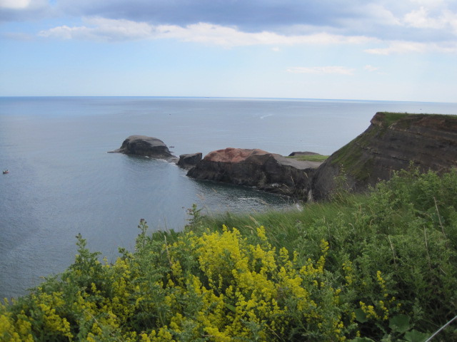 Ahead of us lies Saltwell Nab