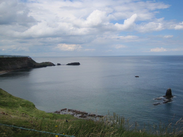 And below the bay glistens