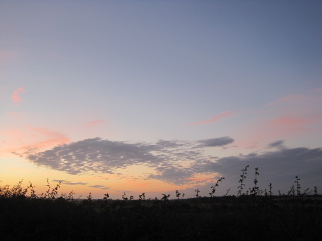 Admiring the fish-shaped clouds