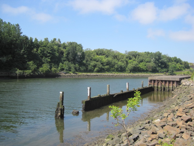 Not a ripple disturbing the peace