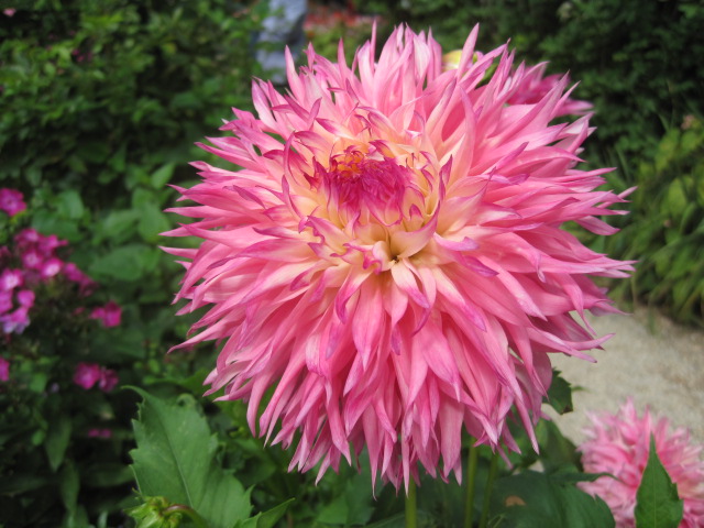 Here's just one example!