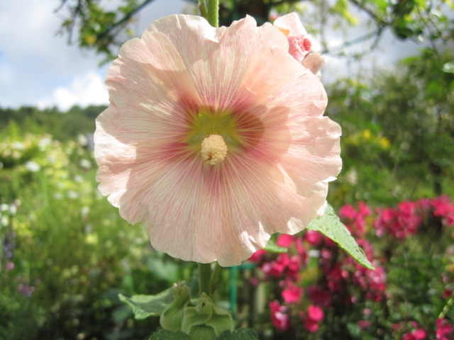 Just a world full of loveliness!