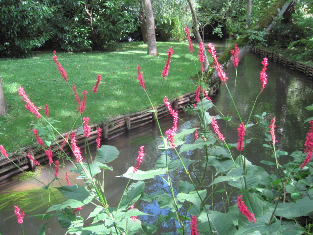 And then we meandered by the stream