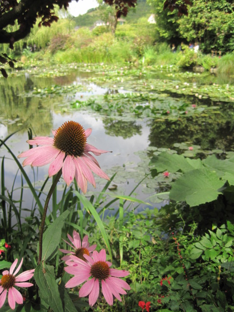 You know what's coming next, don't you