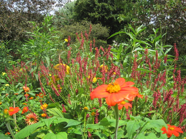 Among a sea of beauty