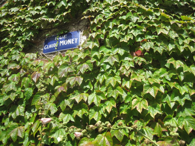 A legend among the ivy