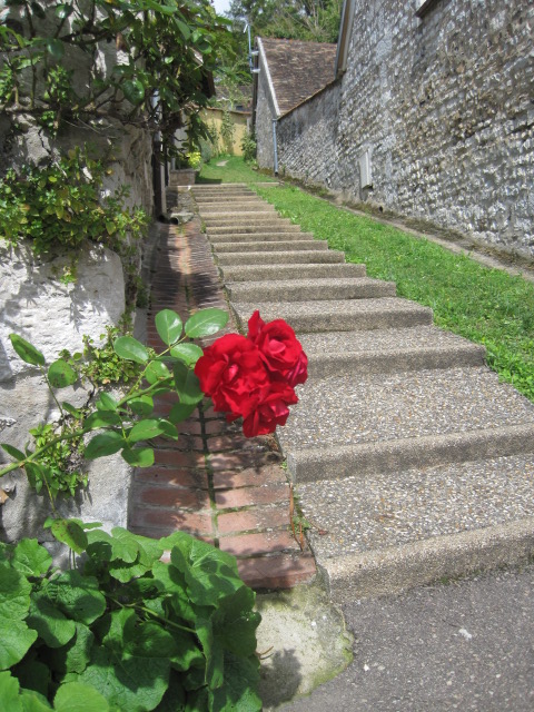 The prettiest of my 'Wynds'