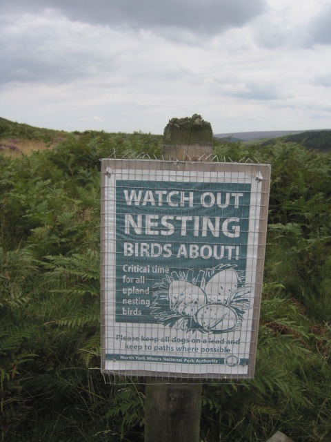Always on the Moors you are aware of nature