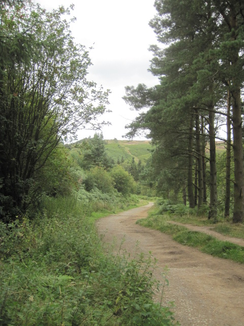 You're following a woodland trail and steadily you will gain height 