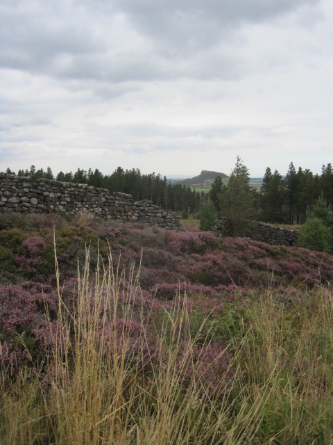 Your first reward- Roseberry Topping on the horizon