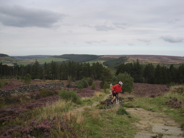 Getting the heart rate going is one thing, but.....