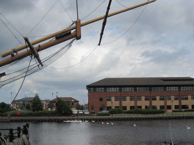 And a whole load of swans!