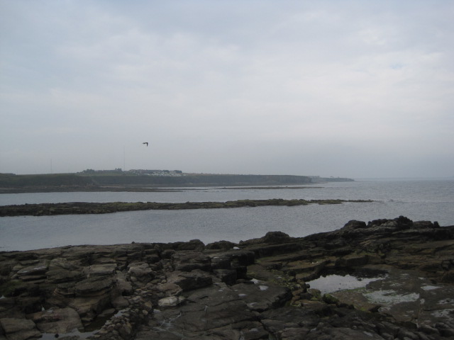 It looks a little bleak today