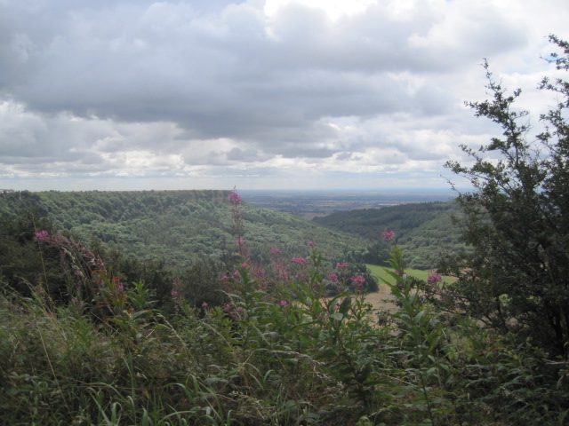 Promising, but not spectacular?