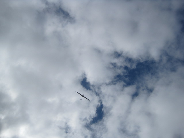 Hello-o-o, up there!