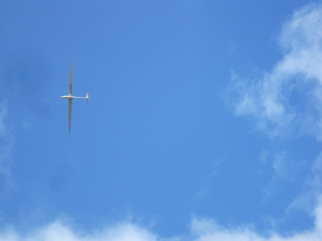 Freedom!  And a patch of blue