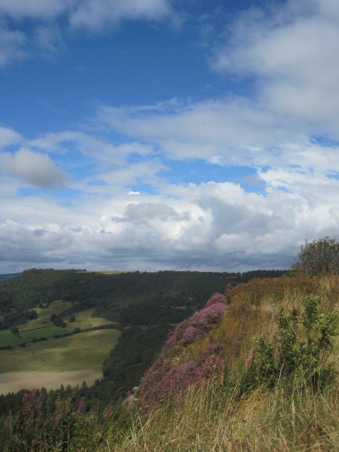 And the beauty revealed