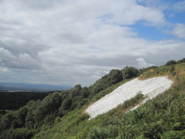 This is the best I can do!