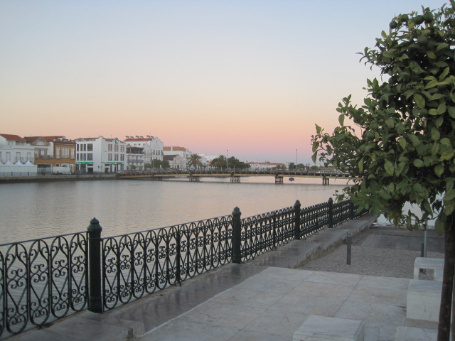 So pretty at sunset!