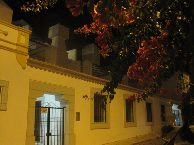 Followed by a stroll home in the moonlight