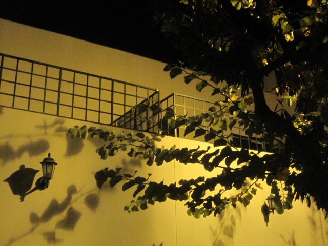 I love the patterns on the wall