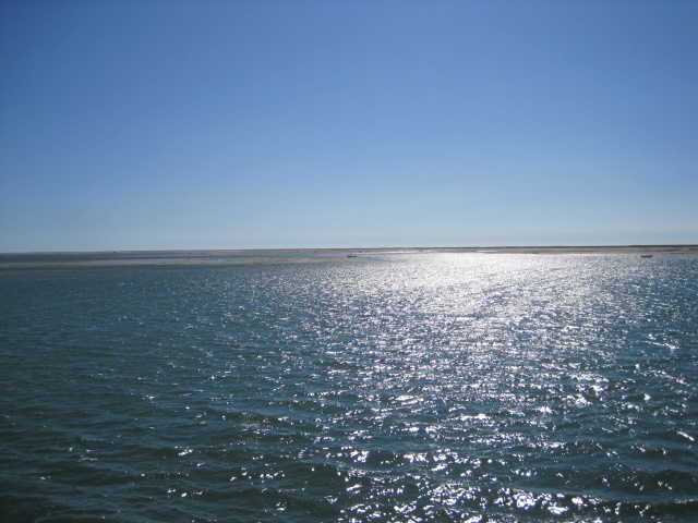 Is this water flat enough for you?