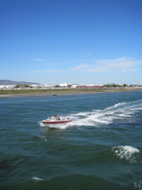 There's always someone who likes to make waves!