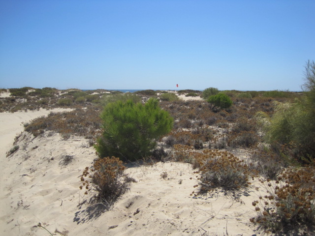 Am I nearly there yet?