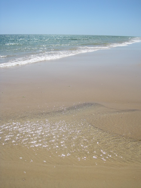 Can you guess where?