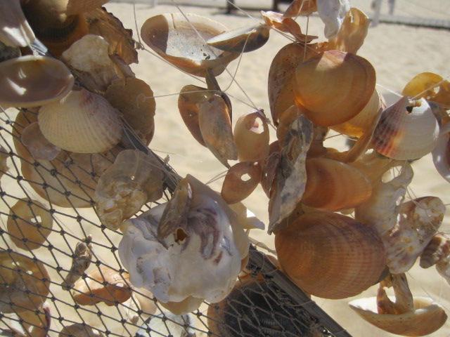 Creative with shells