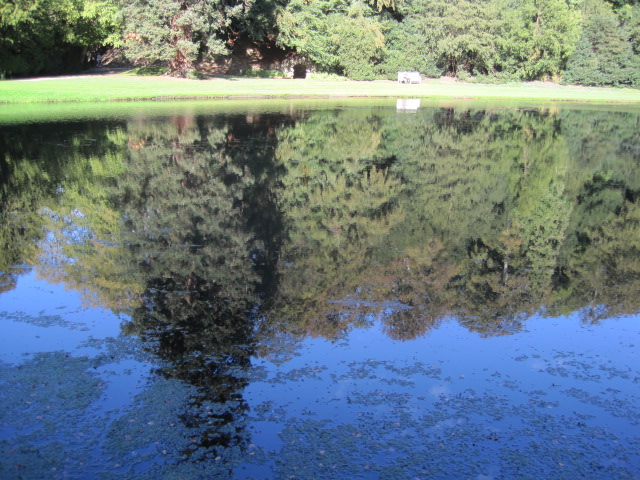 A basin of water opens up before you