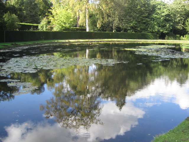The reflections in the lily pond are lovely